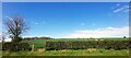 NZ1422 : Farmland near Keverstone Grange by Anthony Parkes