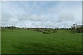 Fields beside Spring Lane