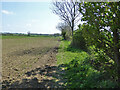 Bridleway from Great Bardfield to Shalford Green