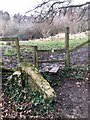 SO8905 : Stone Stile path to Copsegrove Farm, Eastcombe GS1090 by Pam Perry