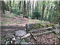 Stone Stile, Toadsmoor Woods