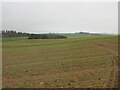 Fields near Pitdrichie