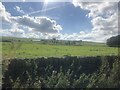 View over farmland