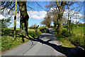 Tree shadow along Mountain Road