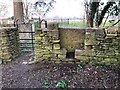 SP0701 : Stone Stile Ivy Church, Ampney St Mary GS9295 by Jayne Tovey