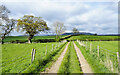 Farm road heading towards trig point