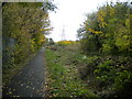 Canal towpath off Birchfield Lane, Whiteheath