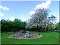 Bonfire and blossom, Faversham