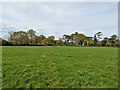 Public footpath 1511 towards Charlwood Road