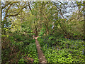 Continuation of footpath 1511 north from Charlwood Road