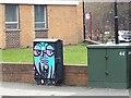 Painted box, Town Street, Armley 