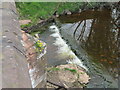 NY5062 : Small weir on the Cam Beck by M J Richardson