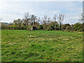 Sometimes damp field, Ditchling