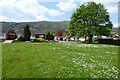 Grass area in Engadine Close