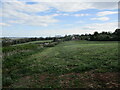 Grass field at Chelmarsh