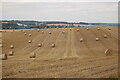 A field of straw bales