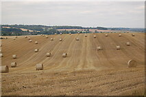 SP9020 : A field of straw bales by Bob Walters