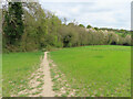 SU7291 : Oxfordshire Way public footpath near Hollandridge Farm by David Hawgood