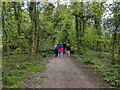 Bridleway Westmeston 11 heads north