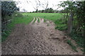 Footpath to Yelverton Road