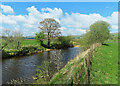 Beside the River Ribble