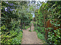 Iron gate on footpath 38, Ditchling