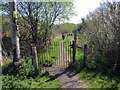 Llwybr i Res Gwendraeth / A path heading towards Gwendraeth Row