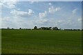 Farmland near Faxfleet Hall