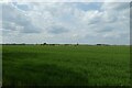 Farmland near Metham Hall