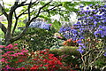 TQ2225 : Leonardslee Gardens, Rock Garden: Rhododendrons and azaleas by Michael Garlick