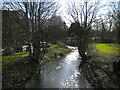 River Cam or Granta, Great Chesterford (2)