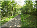 The Flitch Way east of Braintree Road bridge