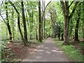 Path, Pollok Park