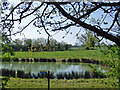 Pond south of Flitch Way