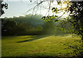 Sports field, Whyteleafe