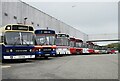 A National lineup at the former British Leyland bus factory, Lillyhall