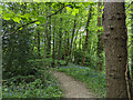 Path, Woldhurstlea Wood, Crawley