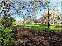 NS6062 : Richmond Park by Thomas Nugent