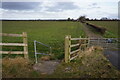 Track leading to Deeside House