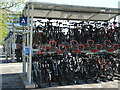 ST5972 : Racks of bikes by Neil Owen