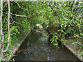 Broadfield Brook looking downstream