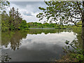 Ifield Mill Pond