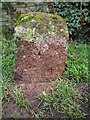 Old milemarker by the Grand Western Canal, east of Tidcombe Bridge