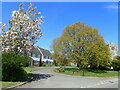 The village green at Egerton