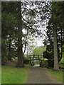 NS9899 : The Japanese Garden at Cowden by M J Richardson