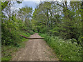 Bridleway 1544 heading north, Bewbush, Crawley