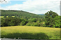 Field by Monmouthshire and Brecon Canal