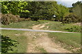 Track, Ashdown Forest