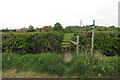 Footpath across the field to Meadow House