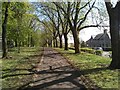 Path through the park